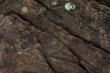 Tropikal ormanda doğal taş dokusu