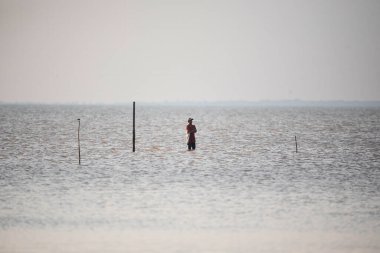 Balıkçılar sahilde deniz kabuğu arıyorlar.