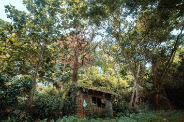 Sahibi tarafından terk edilmiş küçük bir ev.