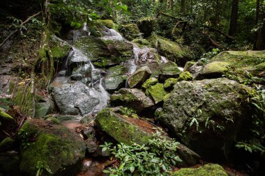 Güney Kalimanta ormanının iç kısımlarındaki doğal şelale çok serin ve hala el değmemiş.