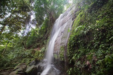 Güney Kalimanta ormanının iç kısımlarındaki doğal şelale çok serin ve hala el değmemiş.
