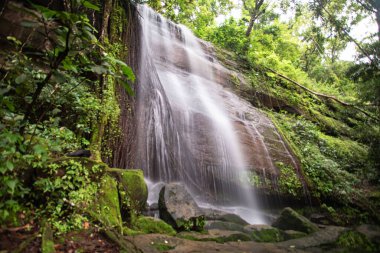 Güney Kalimanta ormanının iç kısımlarındaki doğal şelale çok serin ve hala el değmemiş.