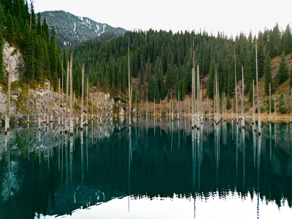 Lago Montanha Único Kaindy Cazaquistão — Fotografia de Stock