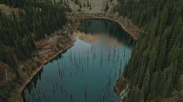 Amazing Mountain Lake Kaindi Lake Καζακστάν — Αρχείο Βίντεο