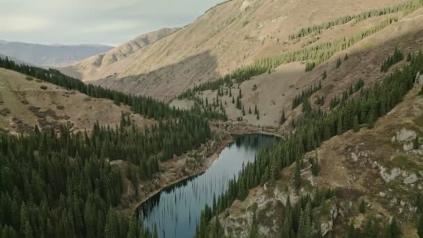 Amazing Mountain Lake Kaindi Lake Καζακστάν — Αρχείο Βίντεο