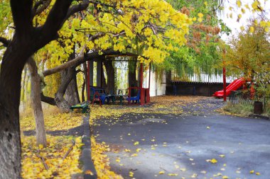 Sonbahar yaprakları bahçeye düşer oyun parkına