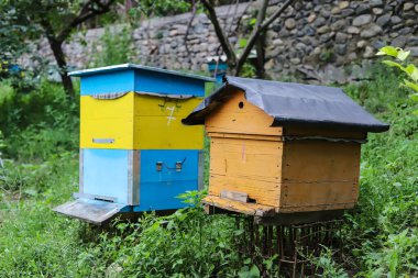 Kulübedeki bahçede birkaç ev yapımı kovan var..