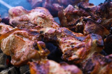 Göl kenarındaki kömürlerin üzerinde dumanlı domuz şiş kebap. Sığ alan derinliği