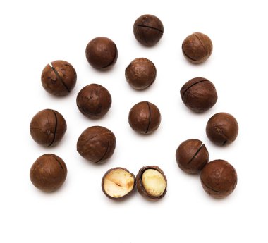 Beyaz arka planda Macadamia cevizi. Sığ alan derinliği