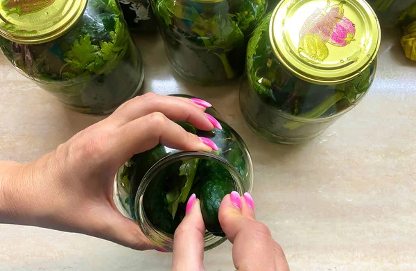 Pickled Cucumbers Glass Containers Pickling Process — Stock Photo, Image