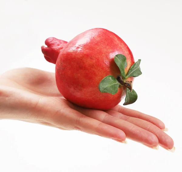 Červené Zralý Granátové Jablko Dlani Dívky Mělká Hloubka Pole — Stock fotografie