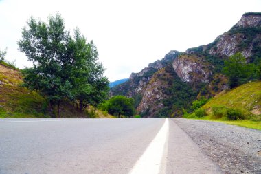 Orman yaz karayolu kenarlarında dağlar ve kayalıklar var.