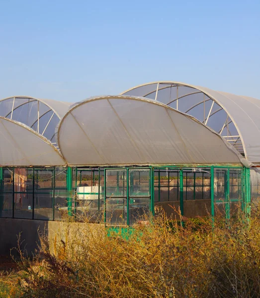 View Large Greenhouse Beds — Stock Photo, Image