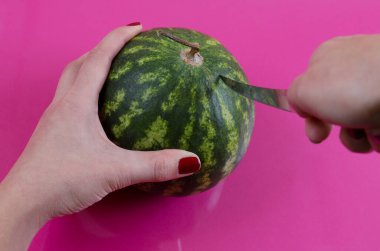 Pembe arka planda küçük veya cüce karpuz 