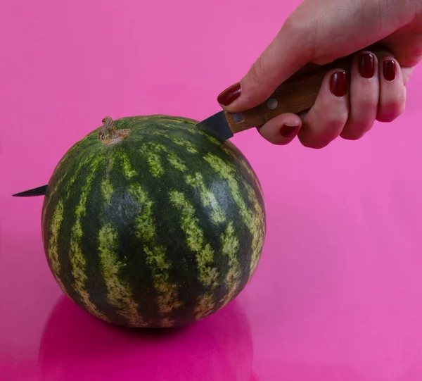 Small or dwarf watermelon 