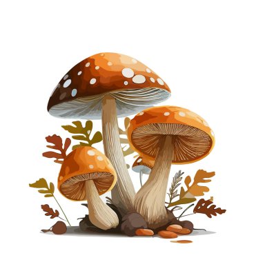 Cartoon mushrooms. Vector illustration, print for background, print on fabric, paper, wallpaper, packaging. clipart