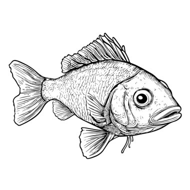 Contour image of a cartoon fish. Vector illustration, print for background, print on fabric, paper, wallpaper, packaging.