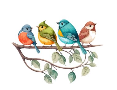 Karikatür serçeleri ve farklı renklerde kanaryalar bir dalda. Beyaz arkaplanda izole edilmiş kuşların vektör çizimi