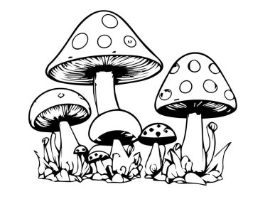 Siyah-beyaz renkli mantar mantarları. Vektör illüstrasyonu