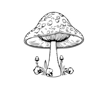 Siyah-beyaz renkli mantar mantarları. Vektör illüstrasyonu