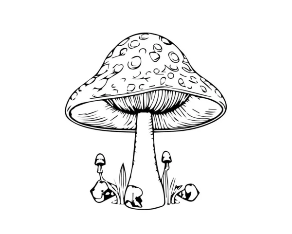 stock vector Mushrooms in cartoon black and white style for coloring. Vector illustration