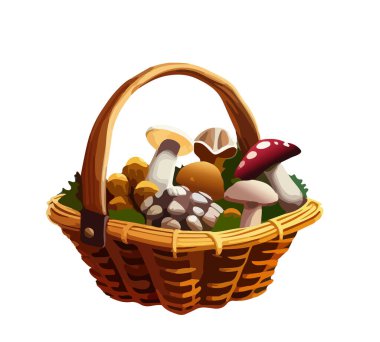 Sepetteki farklı mantarların çizgi film görüntüsü. Vektör illüstrasyonu