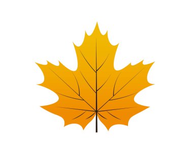 Beyaz arkaplanda akçaağaç yaprağının vektör illüstrasyonu