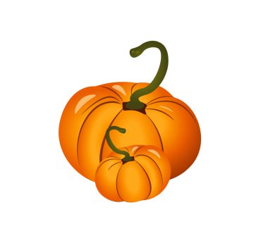 Pumpkin vector illustration on white background clipart