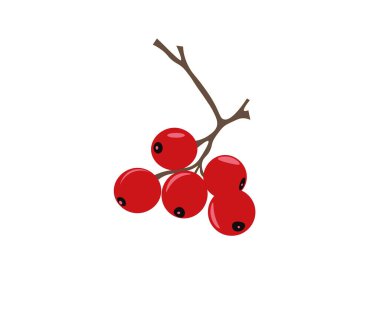 Beyaz arkaplanda yeşillikleri olan bir çizgi film rowan ağacının vektör çizimi