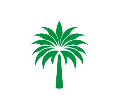 Minimalist tarzda palmiye ağacı illüstrasyonu