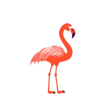 Beyaz arkaplanda izole edilmiş pembe flamingo çizgi filminin vektör çizimi