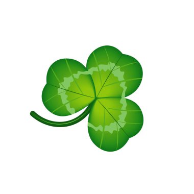 Beyaz arka planda izole edilmiş gerçekçi yonca yaprağı. Vektör illüstrasyonu, arkaplan için baskı, kumaş, kağıt, duvar kağıdı, ambalaj.