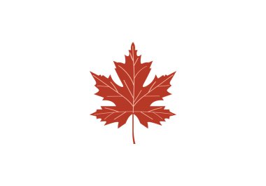 Beyaz arkaplanda çizgi film sonbahar yaprağının vektör illüstrasyonu