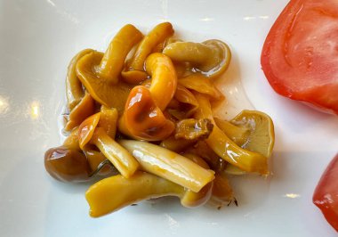 Terbiye edilmiş ballı mantarlar yakın plan.