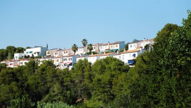 Ormanın ortasındaki bir tepenin üzerinde ikamet eden binalar