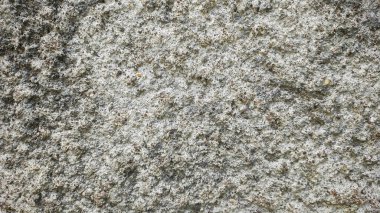 Tamamlanmamış beton bir güzellik kalıbı oluşturur..