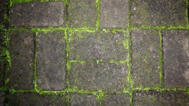 Duvarkağıdı ve arka plan için eski ve yosunlarla kaplanmış beton bahçe yollarının fotoğrafları..