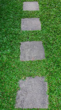 Bahçedeki çimlerin üzerinde ya da parkta uzanan beton kare şeklinde basamak yolu.