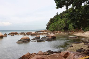 Landscape empty natural rocky beach with tropical trees.
