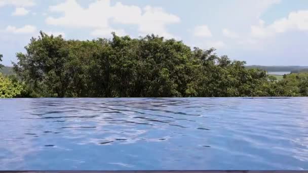 Infinity Swimming Pool Summer Nature Tree Background Bright Sky Day — Wideo stockowe