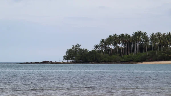 横跨海洋的一个由绿色热带树木生长的岛屿是很自然的 适合背景 — 图库照片