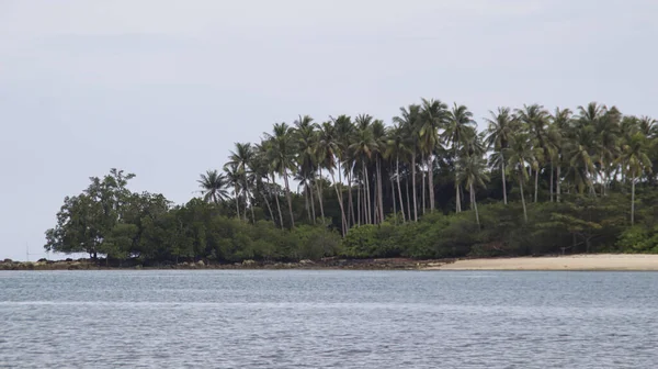 横跨海洋的一个由绿色热带树木生长的岛屿是很自然的 适合背景 — 图库照片