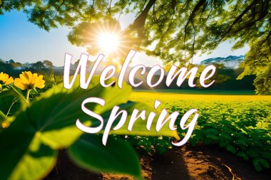 Hoş geldiniz. Bahar mevsimsel selamlar. Duvar kağıdı arka planda afiş ve ticari, güzel doğa çiçeği ve biraz gün doğumuyla birlikte yeşil..