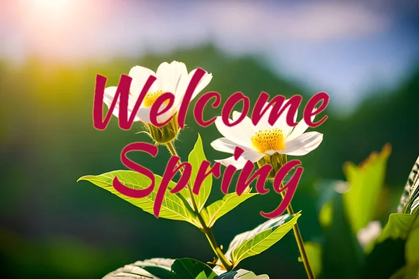 stock image Welcome spring seasonal greetings wallpaper background for banner and commercial, beautiful nature flower and green with some sunrise.