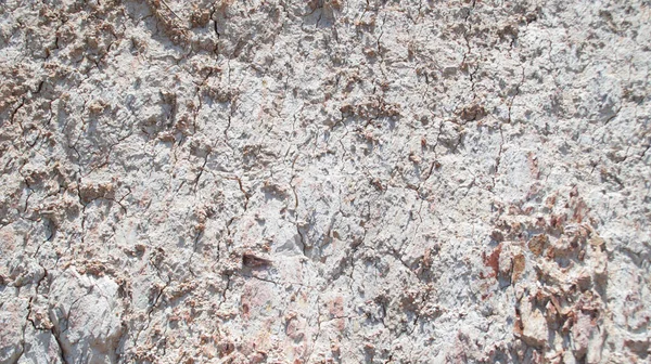 硬い乾燥割れ不毛の土壌の質感とパターンの背景 — ストック写真
