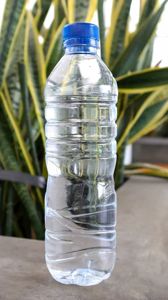 Ένα Πλαστικό Μπουκάλι Μεταλλικό Νερό Μπλε Καπάκι — Φωτογραφία Αρχείου