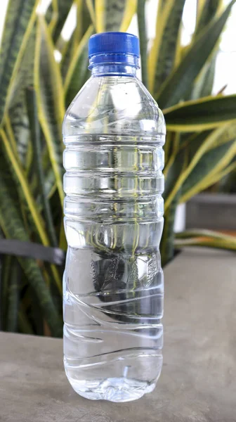 Ένα Πλαστικό Μπουκάλι Μεταλλικό Νερό Μπλε Καπάκι — Φωτογραφία Αρχείου