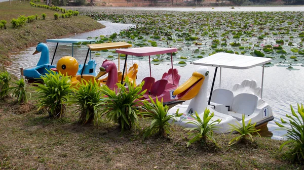 Atracciones Colorido Paddle Wheeler Pedal Barco Patos Aparcamiento Lago Lateral —  Fotos de Stock