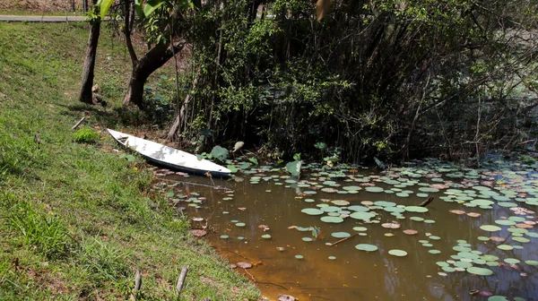 Pequeño Bote Blanco Lado Del Lago Estanque — Foto de Stock