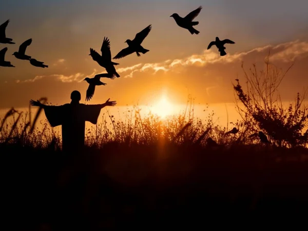 一个女人在日落时张开手在草地上的轮廓 感谢上帝 向上帝祈祷 一些鸽子或小鸟 复活的希望和概念 — 图库照片